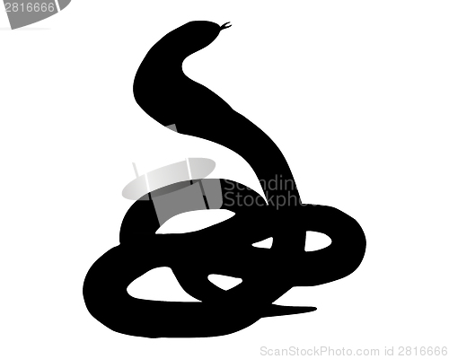 Image of The black silhouette of a cobra on white