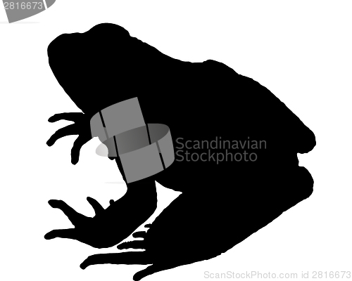 Image of Frog silhouette