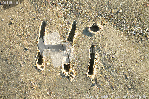 Image of Hi in sand