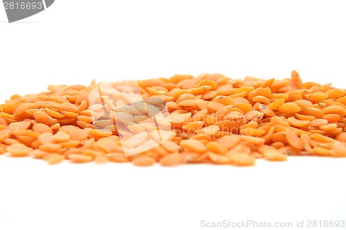 Image of Lentils on white