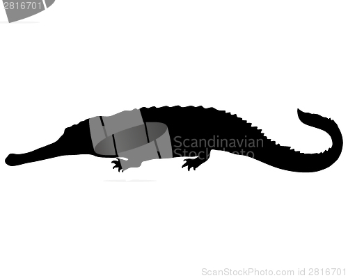 Image of Gharial silhouette