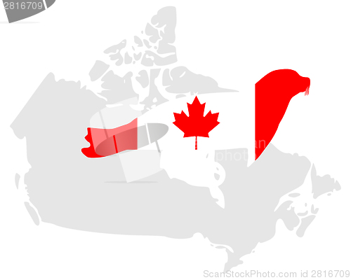 Image of Canadian seal