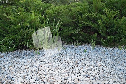 Image of White pebble and green bushes
