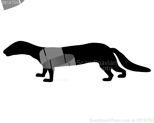Image of Polecat silhouette