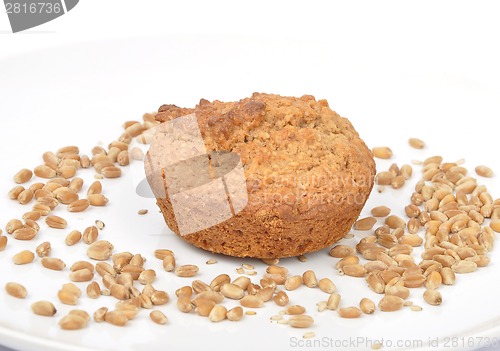 Image of Muffin