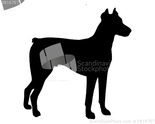 Image of The black silhouette of a Doberman Pinscher