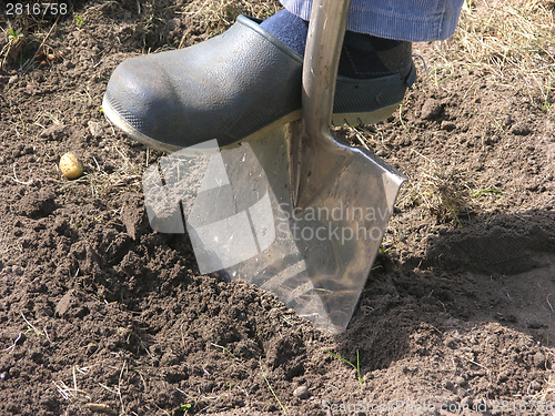 Image of Cutout man with spade doing work in the garden