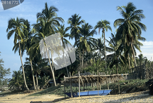 Image of Palmbeach in Malaysia