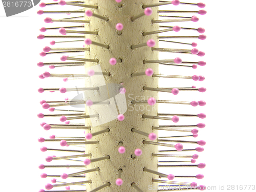 Image of Close-up view on a circular brush on a white background