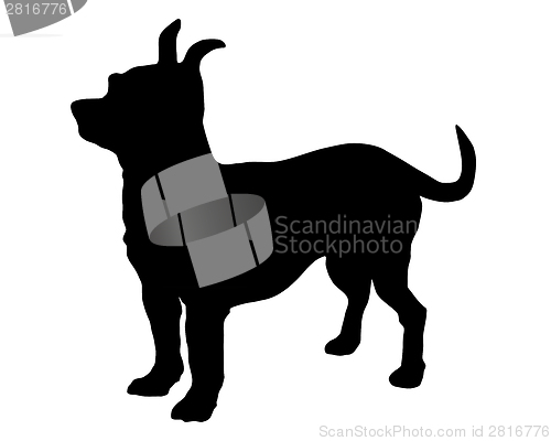 Image of The black silhouette of a shorthaired Chihuahua