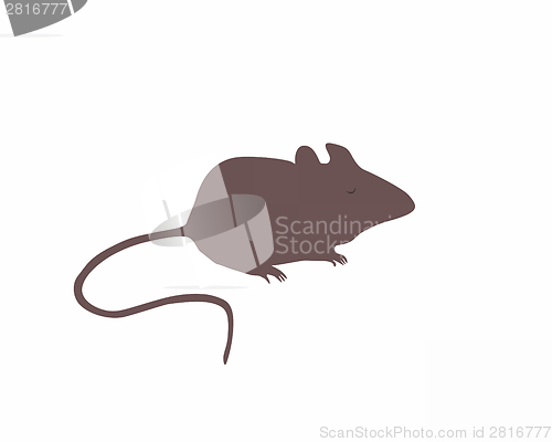 Image of Mouse