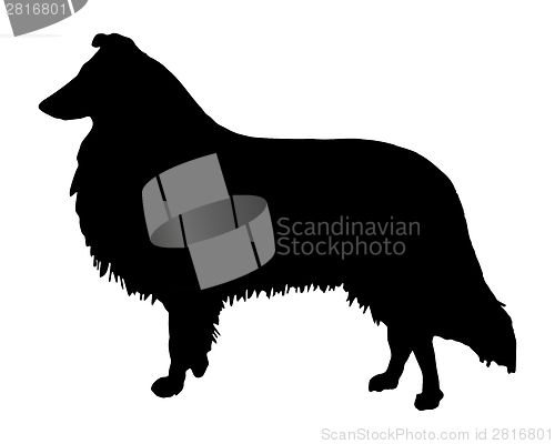 Image of The black silhouette of a longhaired Collie