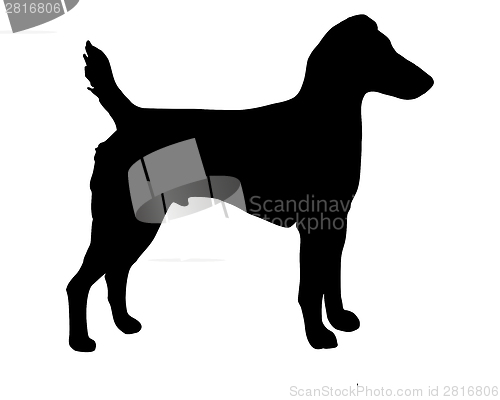 Image of The black silhouette of a Westfalen Terrier