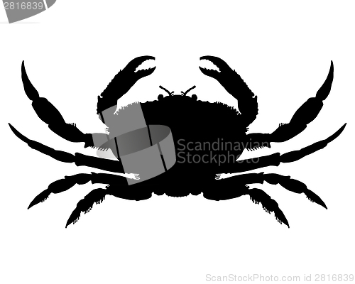 Image of Crab Silhouette