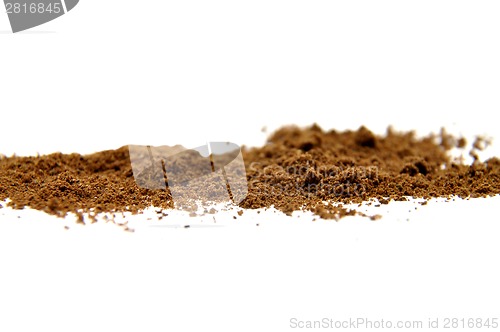 Image of Clove on white
