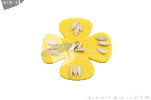 Image of Sunflower seeds and felt decoration