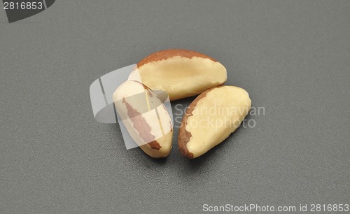 Image of Detailed but simple image of para nut