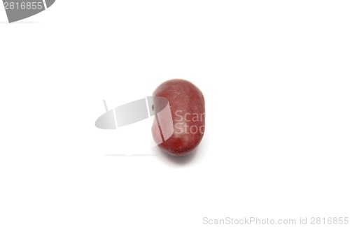 Image of Detailed but simple image of kidney bean