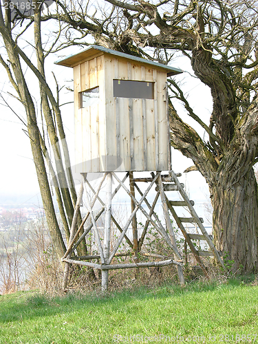 Image of Hide for huntsmen near an old tree