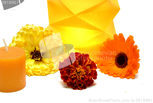 Image of Burning candle in a paper lamp with flowers