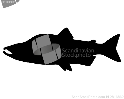 Image of Salmon Silhouette