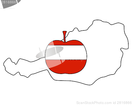 Image of Austrian apple