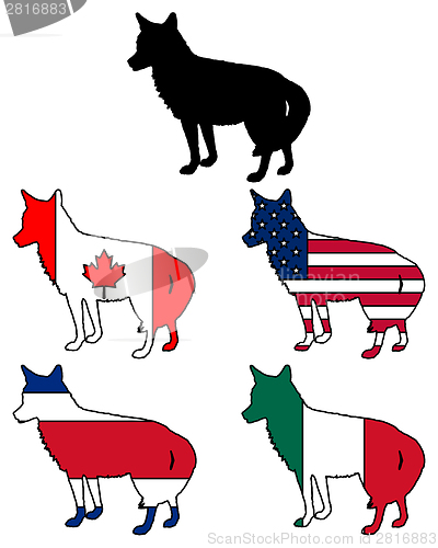Image of Coyote flags