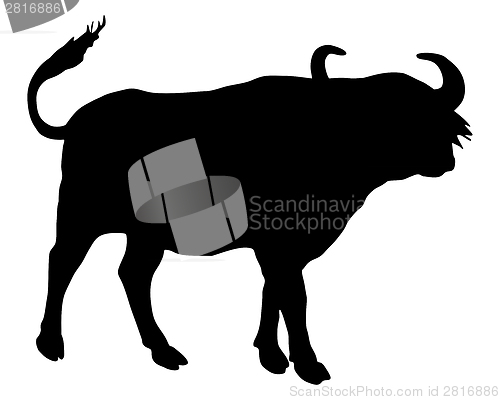 Image of African Buffalo silhouette