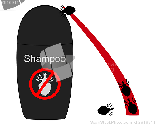 Image of Lice shampoo and hair with lice on white background