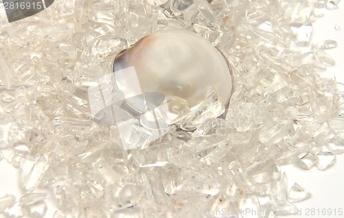 Image of Detailed and colorful image of white pearl