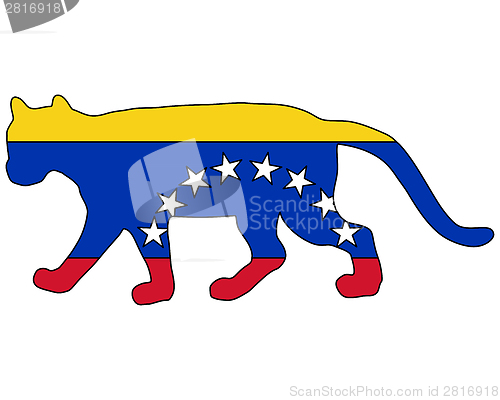 Image of Cougar Venezuela