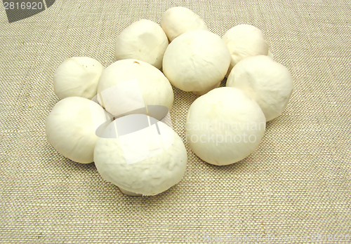 Image of White  mushrooms on a beige table cloth