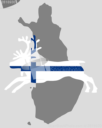 Image of Finnish reindeer