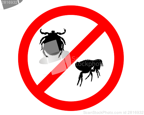 Image of Prohibition sign for fleas and ticks on white background
