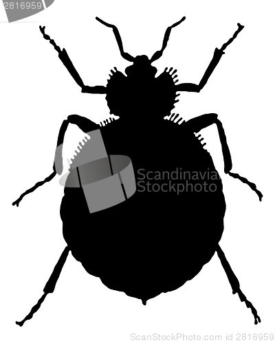 Image of The black silhouette of a bedbug as illustration