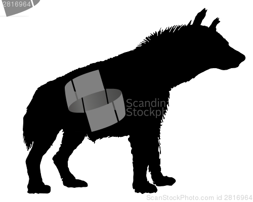 Image of Hyena silhouette