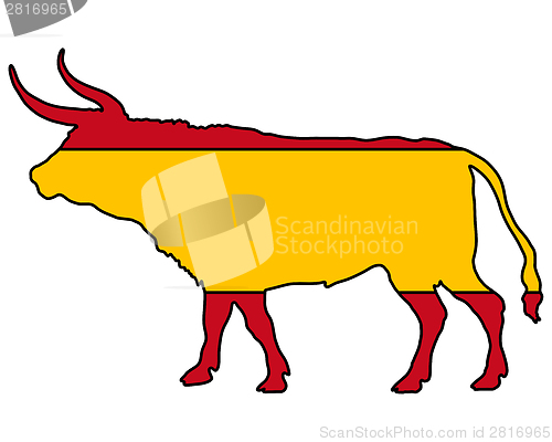 Image of Spanish bull