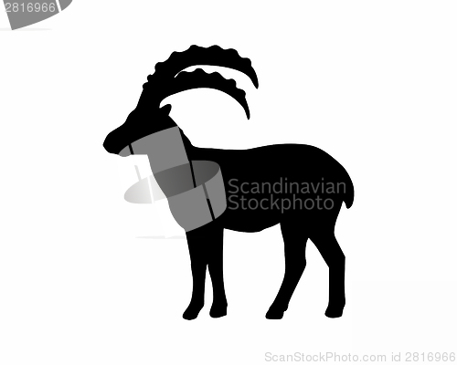 Image of Capricorn