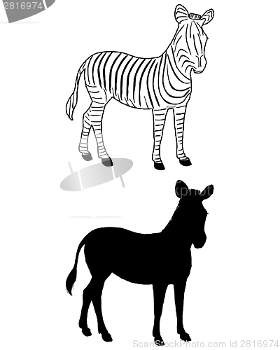 Image of Zebra silhouette