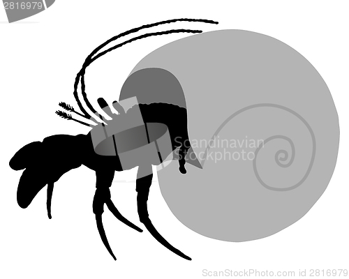 Image of Hermit crab silhouette