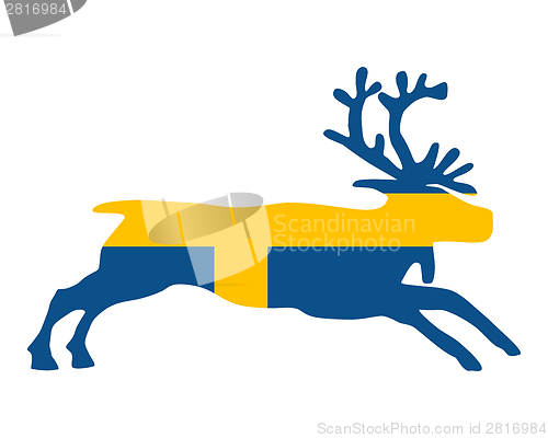 Image of Swedish reindeer