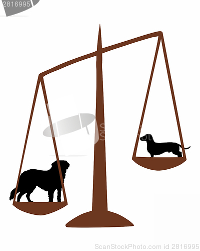 Image of Saint Bernard and sausage dog on a balance