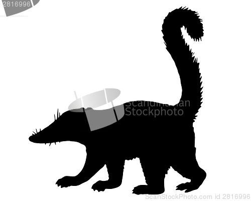 Image of Coati silhouette