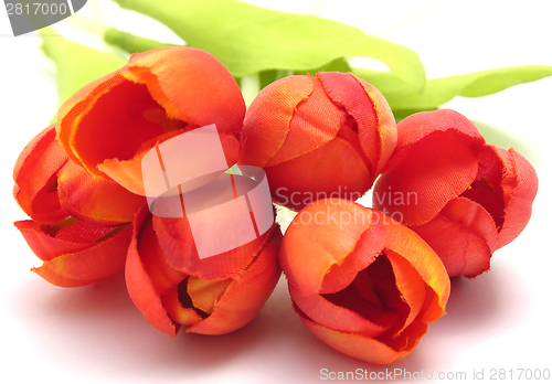 Image of plastic tulips 
