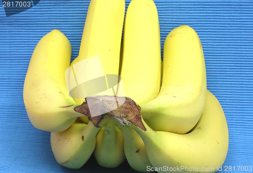 Image of Bananas lying in front of a blue background
