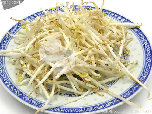 Image of Sprouts of beans in a close-up view on plate