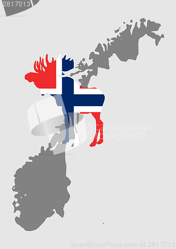 Image of Norwegian moose