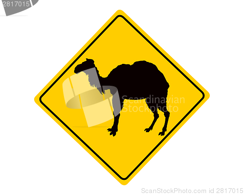 Image of Camel warning sign