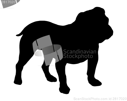 Image of The black silhouette of an English Bulldogge