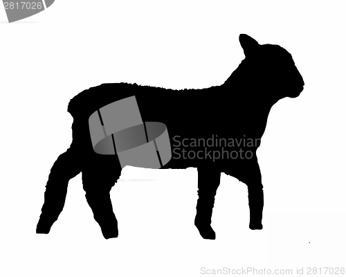 Image of Black silhouette of a lamb on white